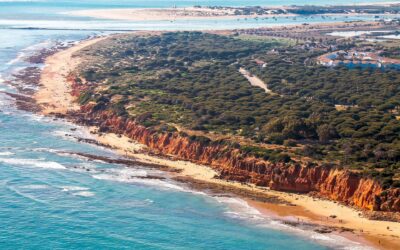 Excursión de un Día Soleado a la Playa de la Costa de la Luz: Itinerario para Aficionados al Glamping